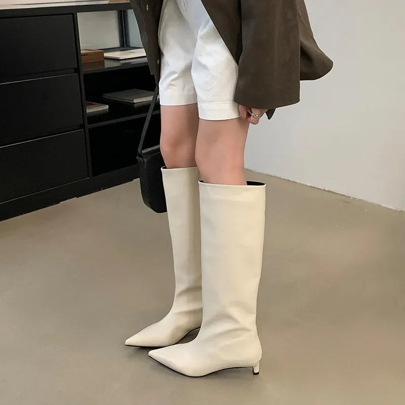Women's Knee-High Boots – Pointed Toe Slim Low Heel