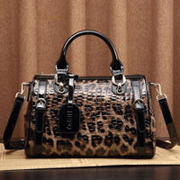 leopard