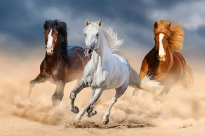 Wild Horse Canvas Wall Art – Majestic Running Stallion Poster Print