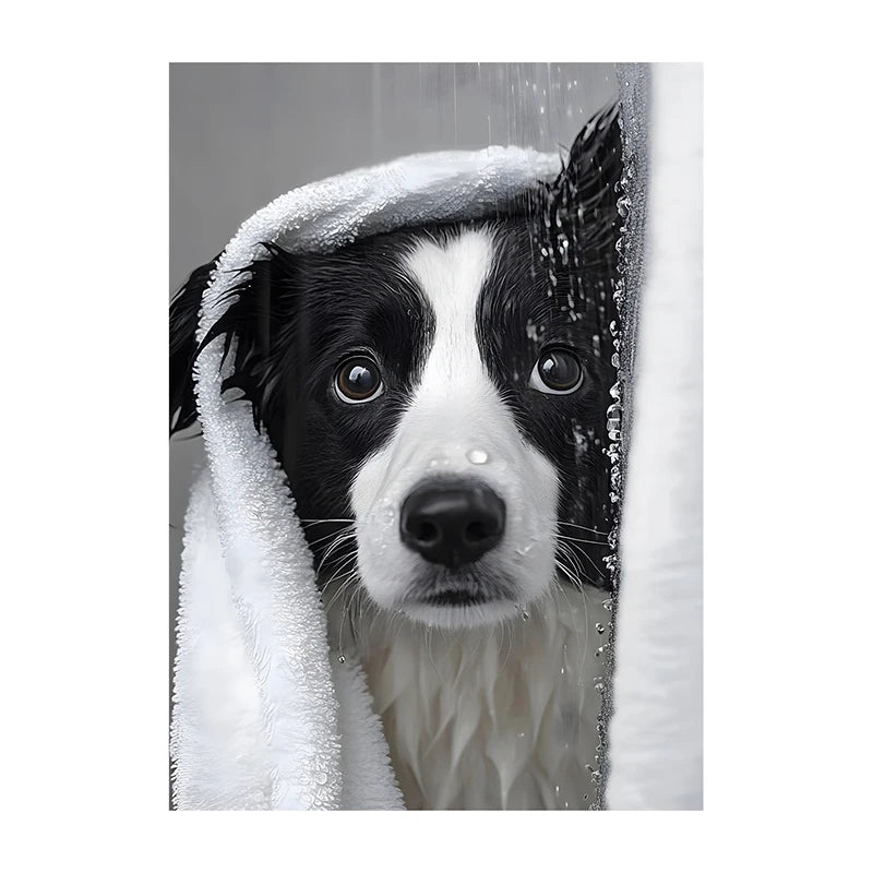 Funny Dog Bathroom Poster – Schnauzer in Bathrobe Wall Art Print
