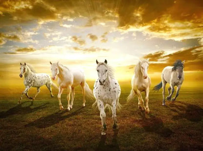 Wild Horse Canvas Wall Art – Majestic Running Stallion Poster Print