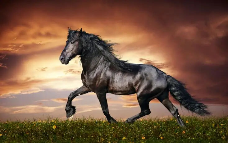 Wild Horse Canvas Wall Art – Majestic Running Stallion Poster Print