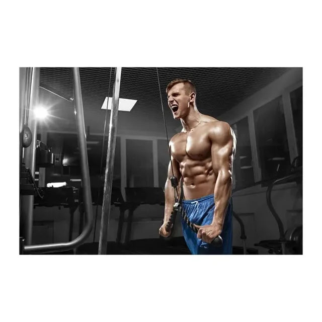 Gym Motivation Wall Art Print – Bodybuilding Fitness Poster for Home & Gym Decor