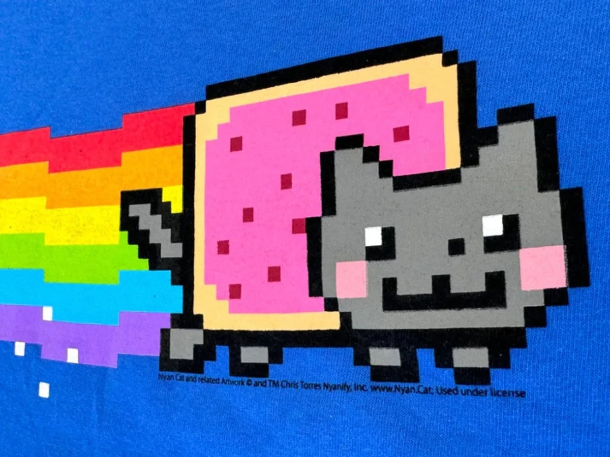 Nyan Cat Graphic T-Shirt – Funny Meme Streetwear Tee