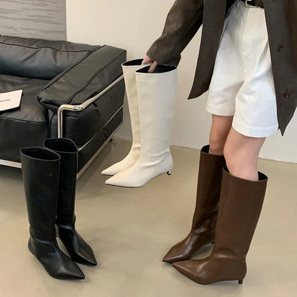 Women's Knee-High Boots – Pointed Toe Slim Low Heel
