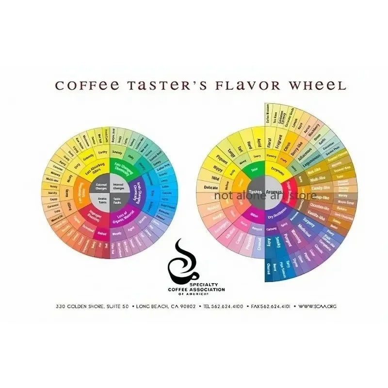 Coffee Flavor Wheel Canvas Wall Art – Cafe Poster Print