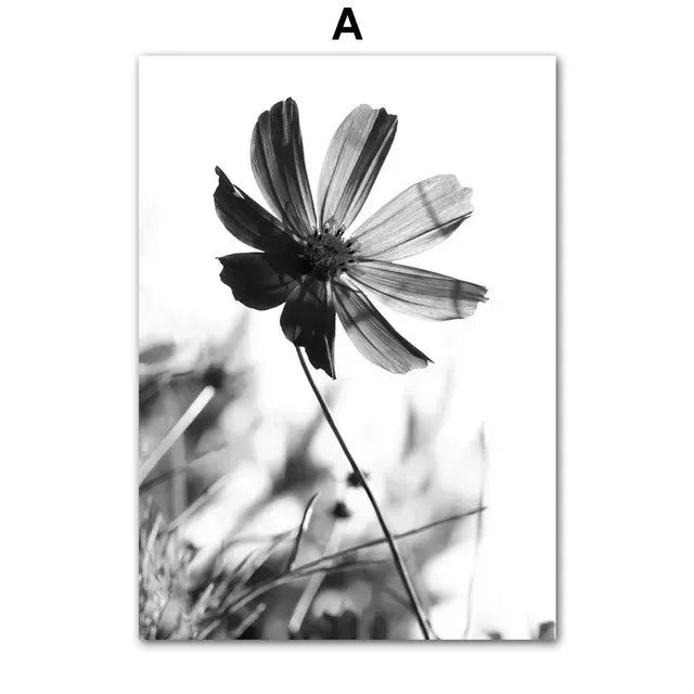 Black & White Floral Wall Art Print – Dandelion & Butterfly Poster