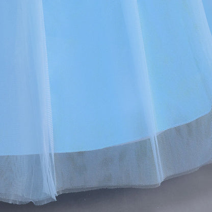 Cinderella Princess Ball Gown Costume Dress