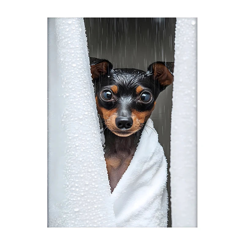 Funny Dog Bathroom Poster – Schnauzer in Bathrobe Wall Art Print