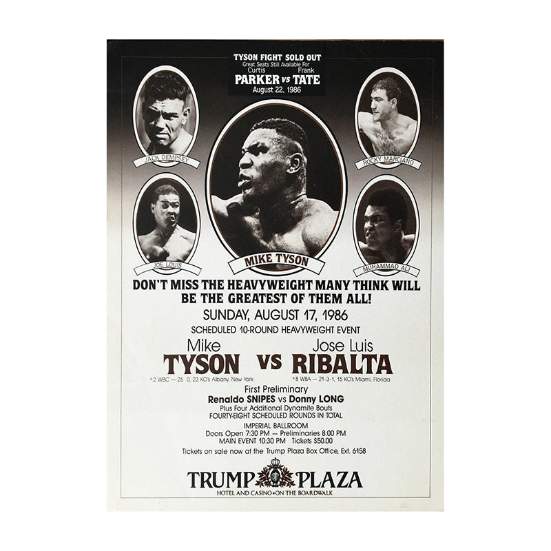 UFC MMA Fight Poster Print – Boxing & MMA Canvas Wall Art for Gym