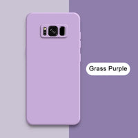 Grass Purple