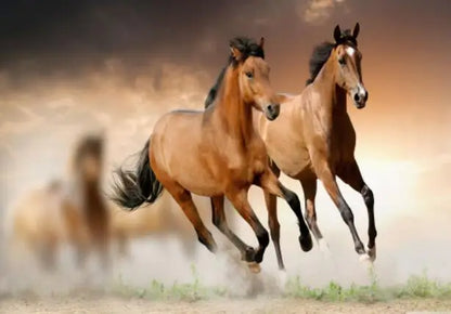 Wild Horse Canvas Wall Art – Majestic Running Stallion Poster Print