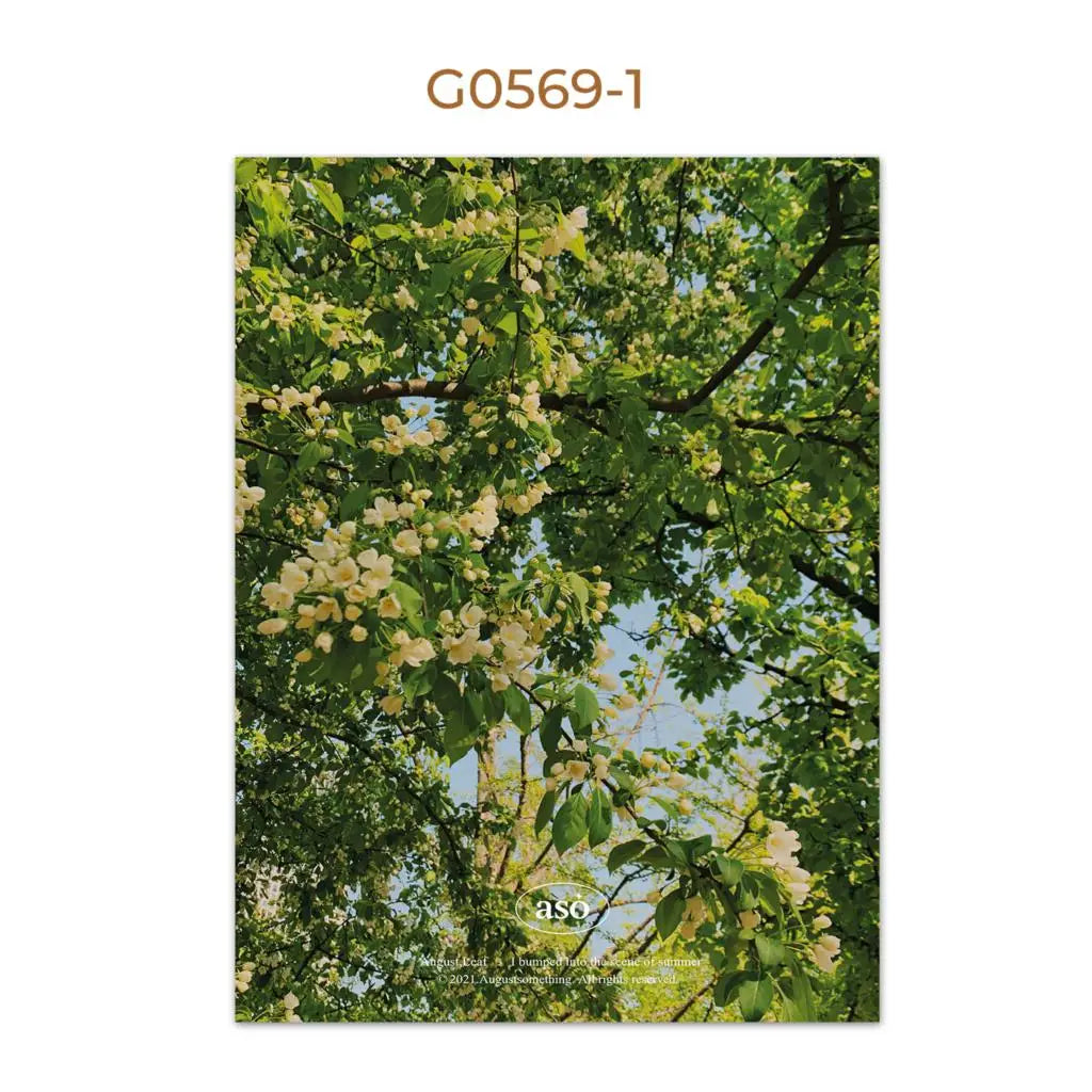Summer Nature Scenery Poster – Fresh Green Botanical Wall Art