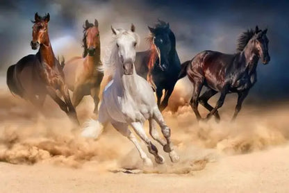 Wild Horse Canvas Wall Art – Majestic Running Stallion Poster Print