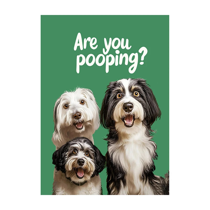 Funny Cow Poster – Are You Pooping? Farm Animal Bathroom Art