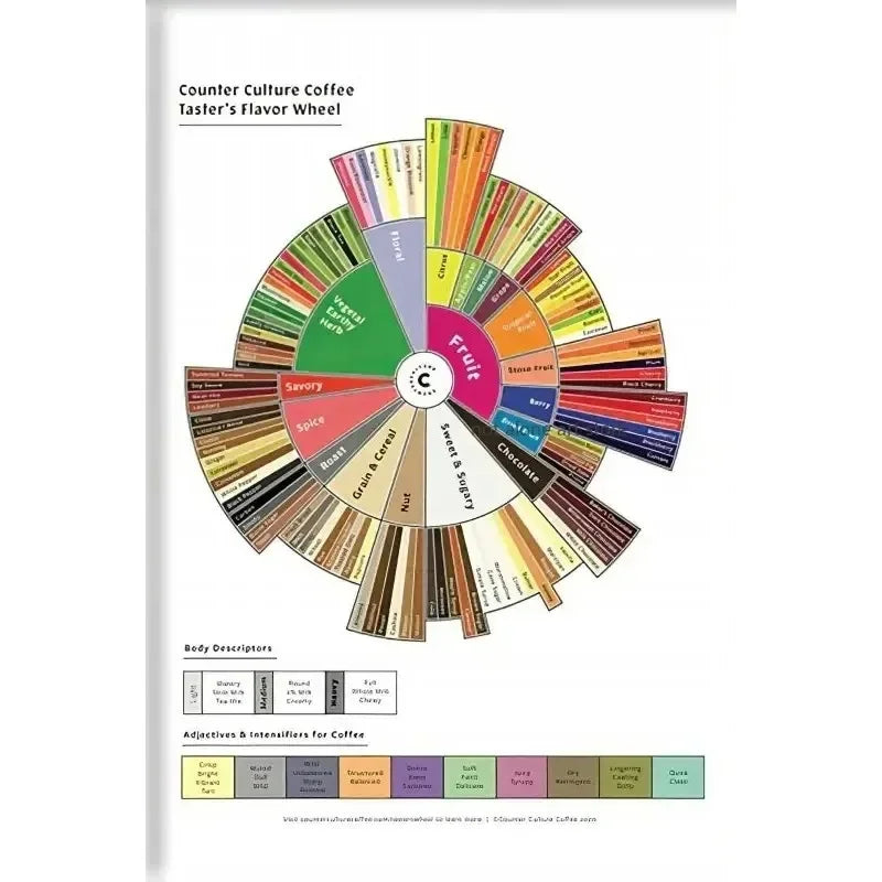 Coffee Flavor Wheel Canvas Wall Art – Cafe Poster Print