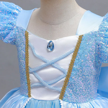 Cinderella Princess Ball Gown Costume Dress